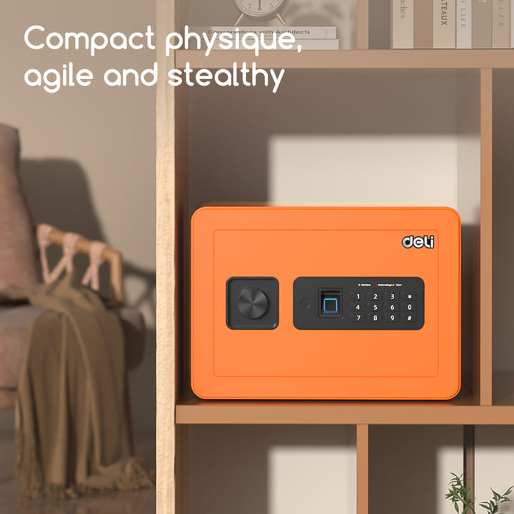 ET590 Fingerprint Safe