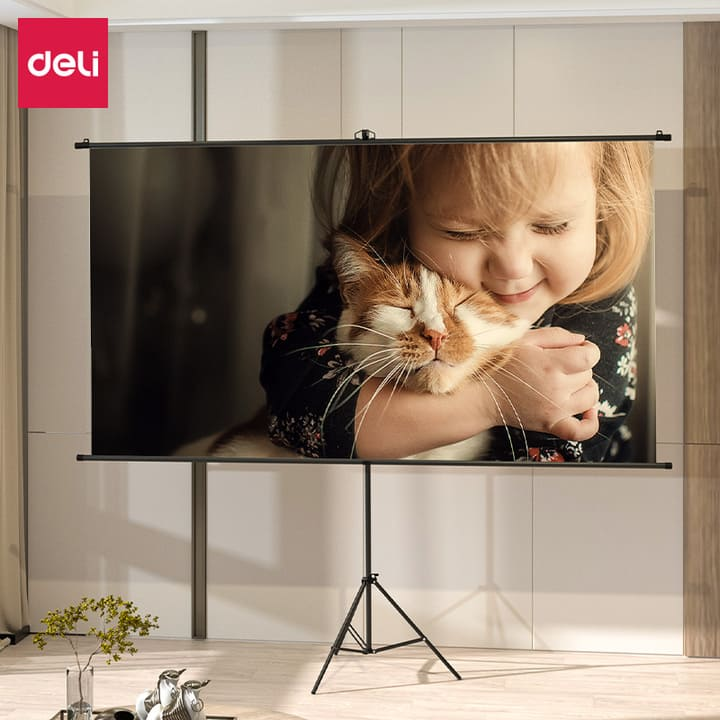 es903 100 inch bracket projector screen china