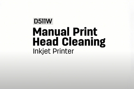 Manual Print Head Cleaning