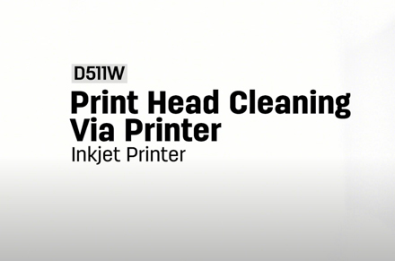 Printer Head Cleaning Via Printer