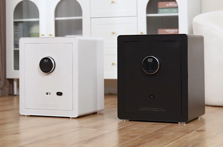 Deli ET630-ET635 Household Safe Box